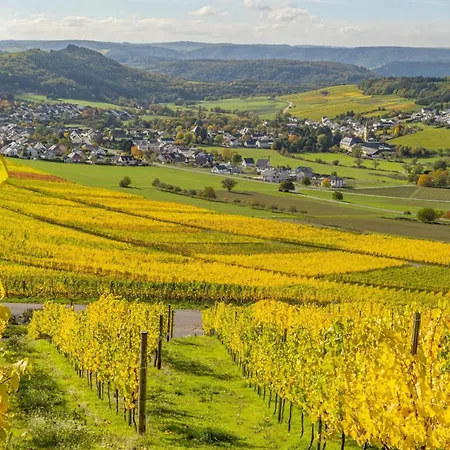 Apartment Weingut-ferienwohnungen Lorenz - Nur Urlaubsgäste *