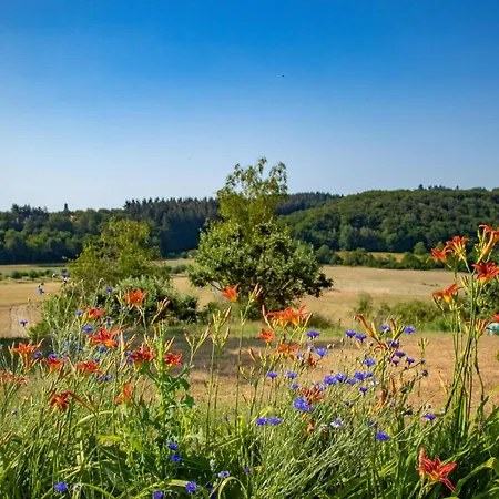 Weingut-ferienwohnungen Lorenz - Nur Urlaubsgaeste *