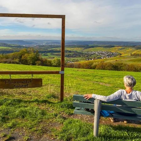 Weingut-ferienwohnungen Lorenz - Nur Urlaubsgaeste Apartamento