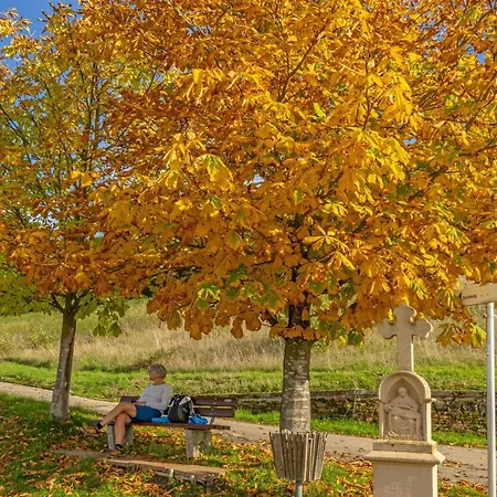 Apartamento Weingut-ferienwohnungen Lorenz - Nur Urlaubsgaeste Oberemmel