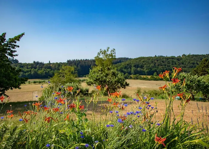 Weingut-ferienwohnungen Lorenz - Nur Urlaubsgaeste *
