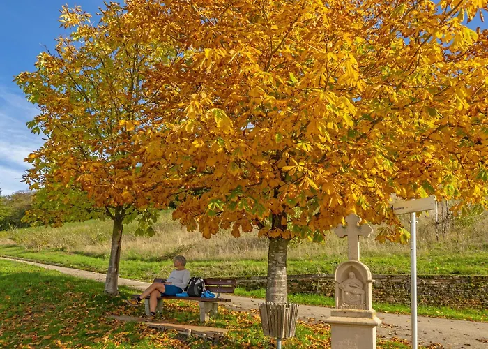 Apartamento Weingut-ferienwohnungen Lorenz - Nur Urlaubsgaeste Oberemmel
